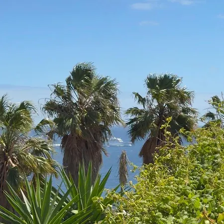 Atlantic Paradise Ii