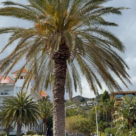 דירה Atlantic Paradise Ii קאניקו